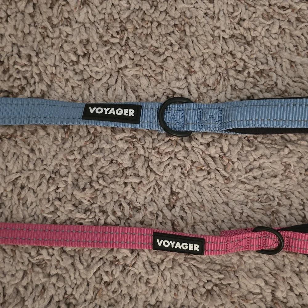 2 Voyager Dog Leashes - Pink And Blue (1206)
